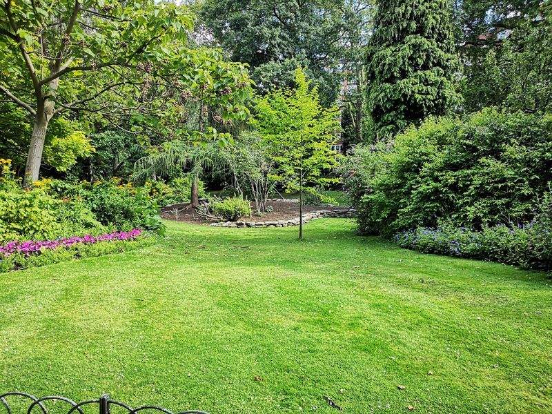 Cómo preparar tu jardín para la primavera