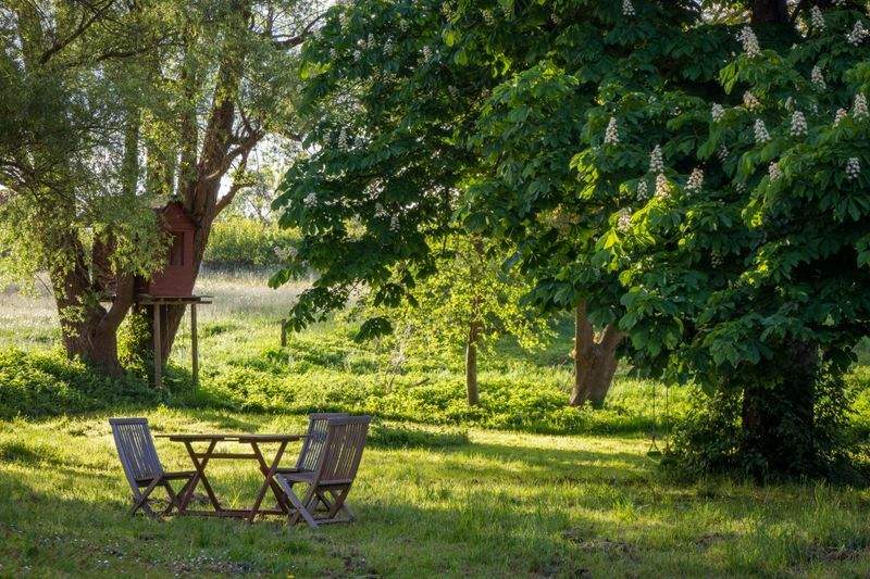Reorganización Ilustrativa de un Jardín Residencial para un Mejor Atractivo Durante Todo el Año