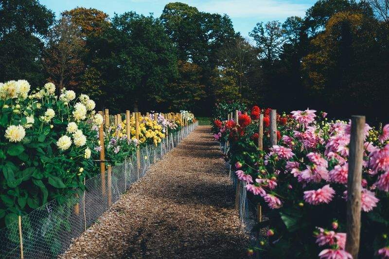 VerdeNativo Jardinería y Paisajismo 1