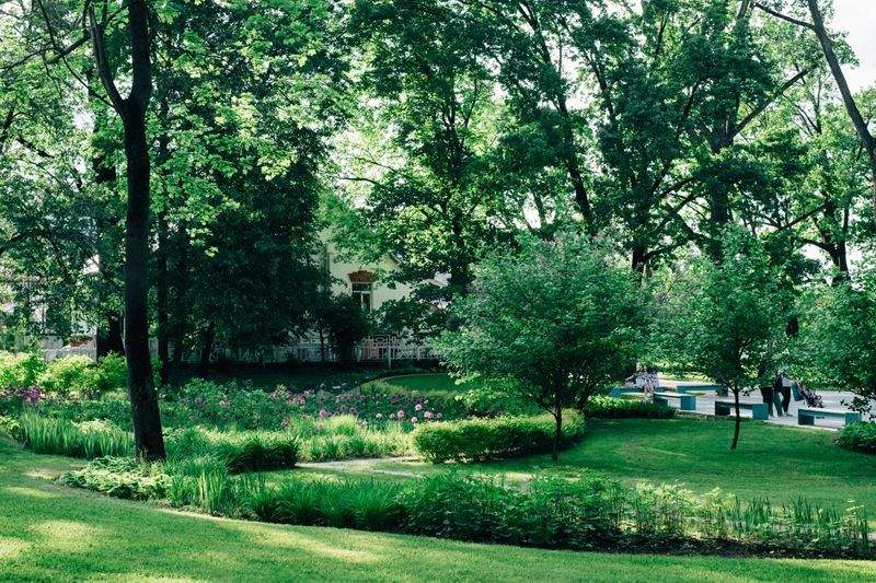 VerdeNativo Jardinería y Paisajismo 13