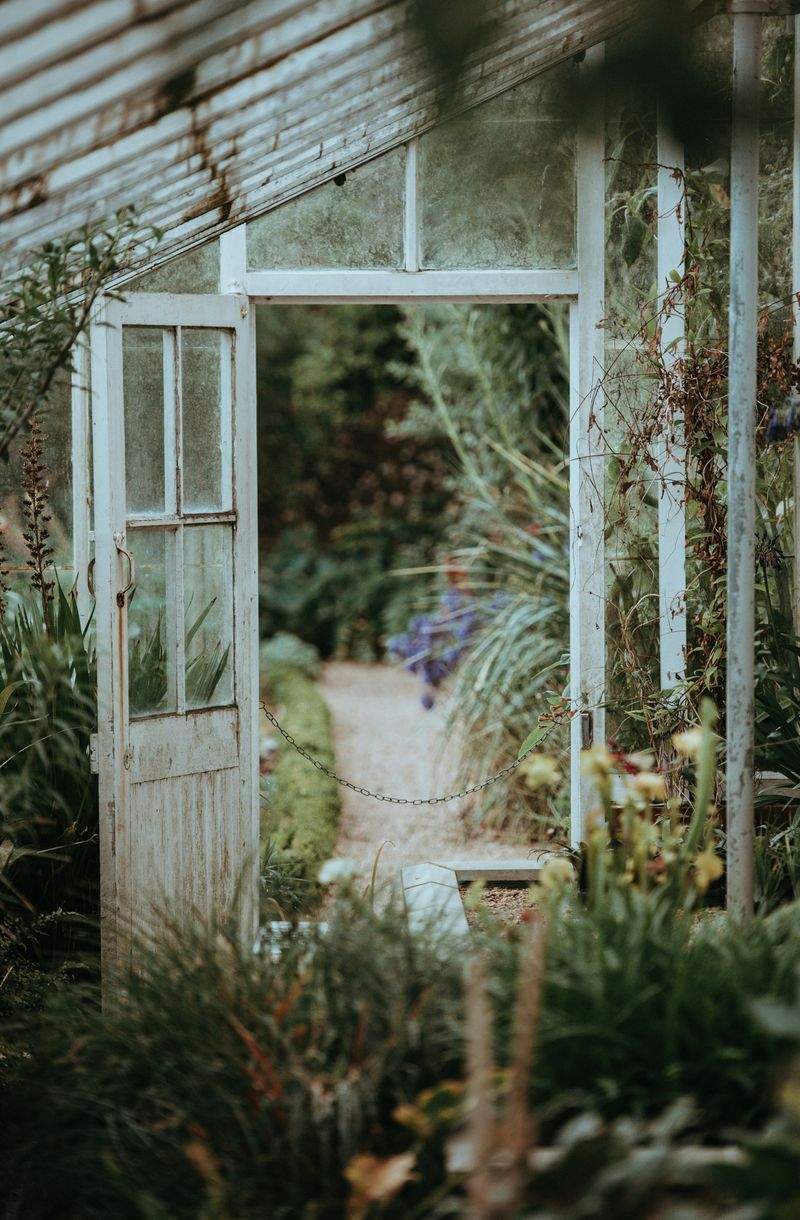 VerdeNativo Jardinería y Paisajismo 15
