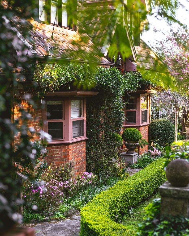 VerdeNativo Jardinería y Paisajismo 2