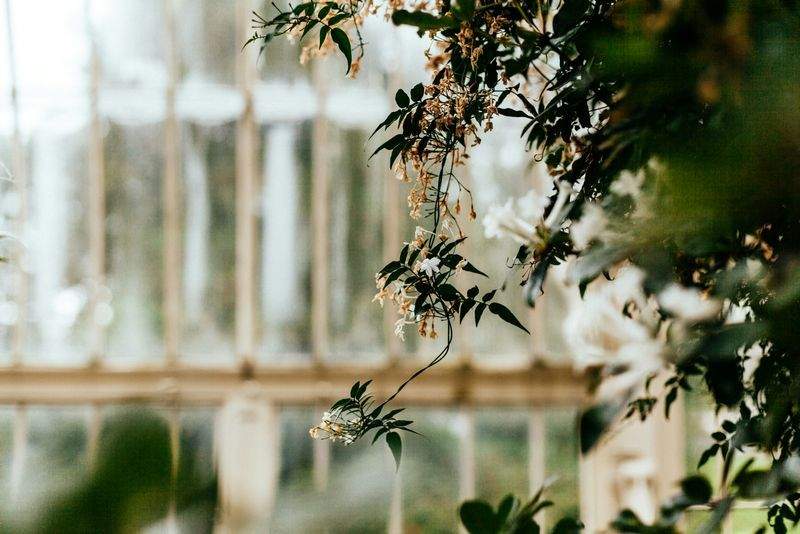 VerdeNativo Jardinería y Paisajismo 7