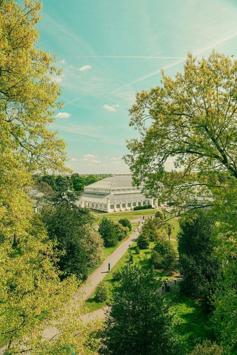 VerdeNativo Jardinería y Paisajismo 8
